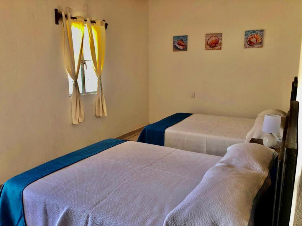 La Pucca Hotel Boutique Resort Пеньита-де-Хальтемба Экстерьер фото