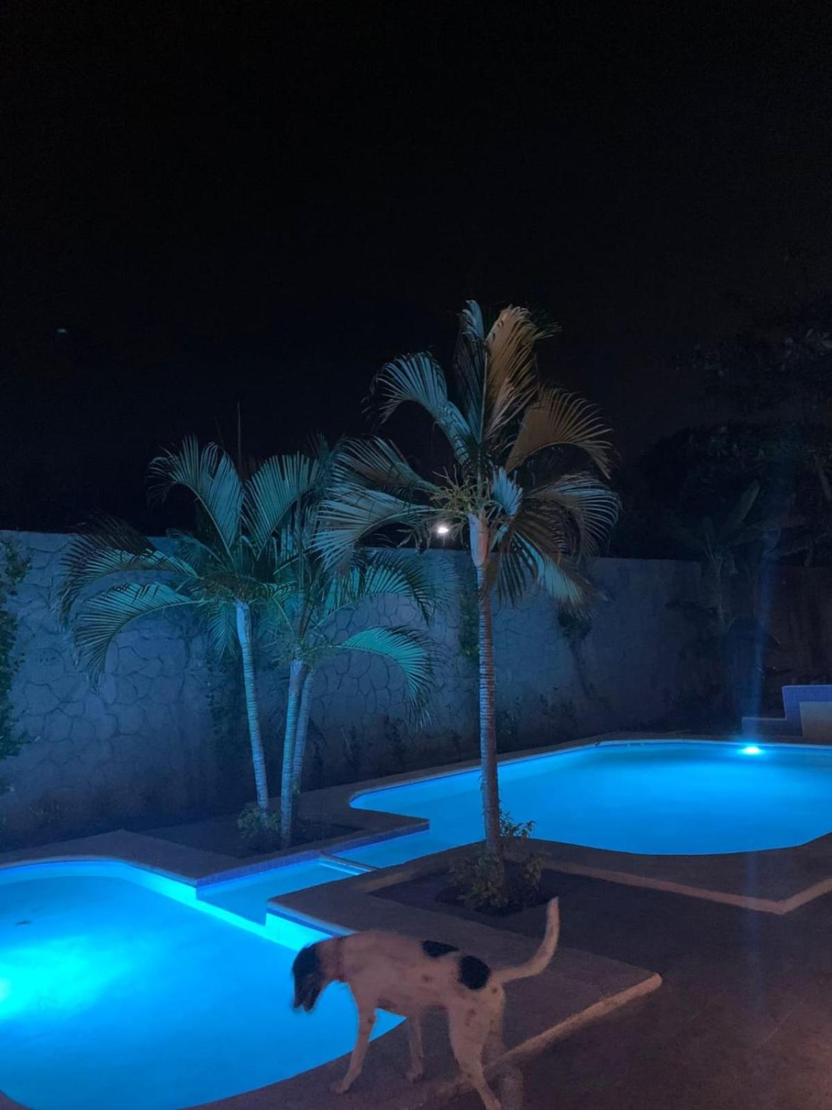 La Pucca Hotel Boutique Resort Пеньита-де-Хальтемба Экстерьер фото
